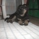 Kyra -